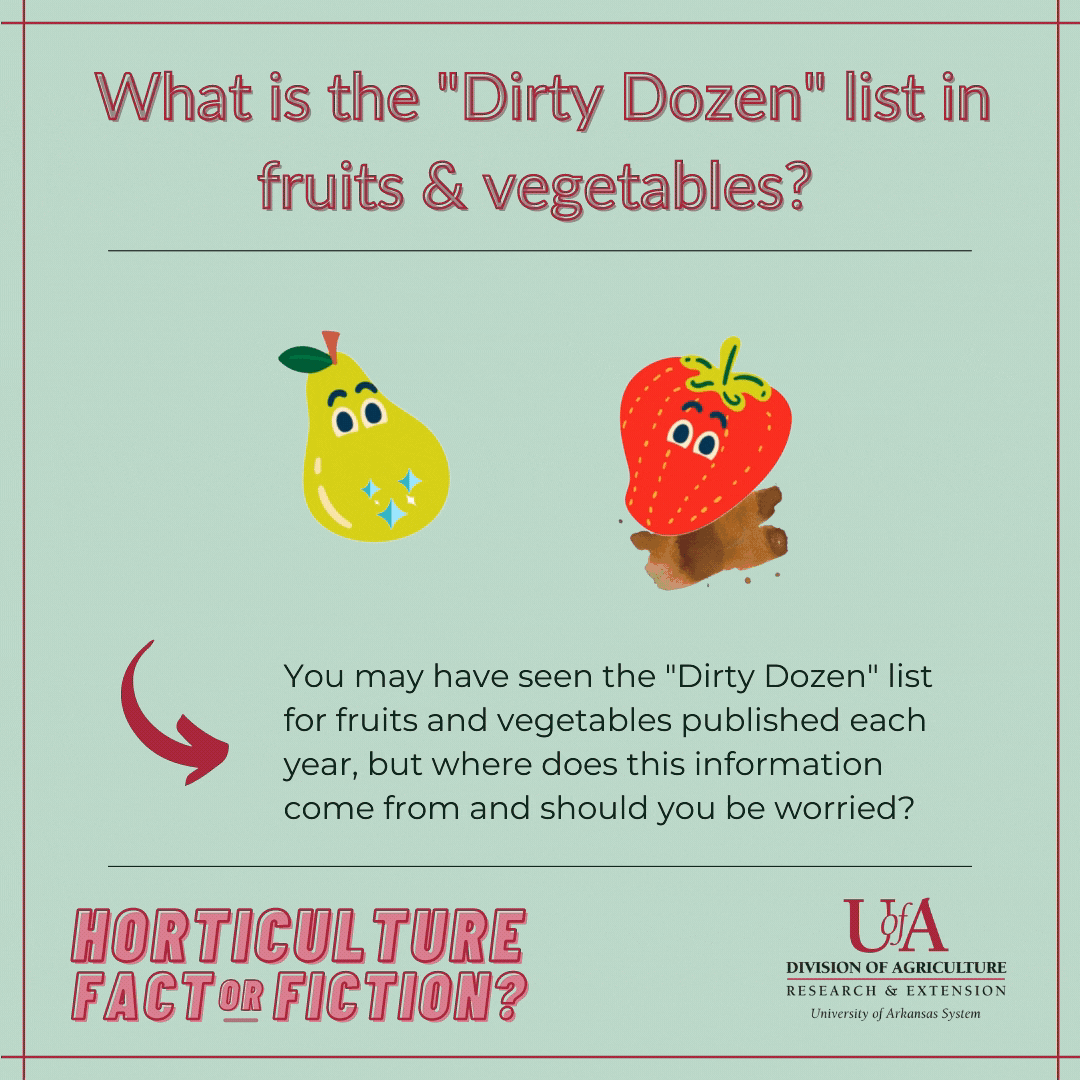 what-is-the-dirty-dozen-list-in-fruits-and-vegetables